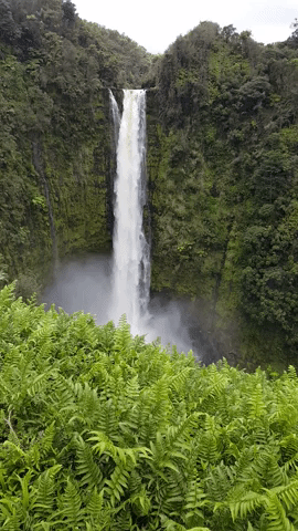 Grant at Akaka Falls
